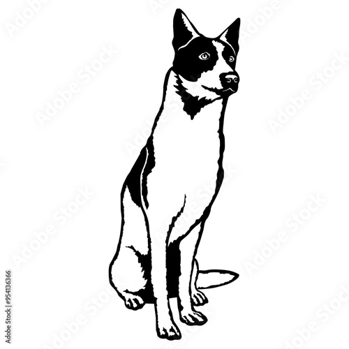 Sitting Canaan Dog