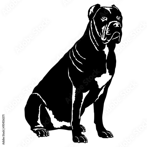 Sitting Cane Corso