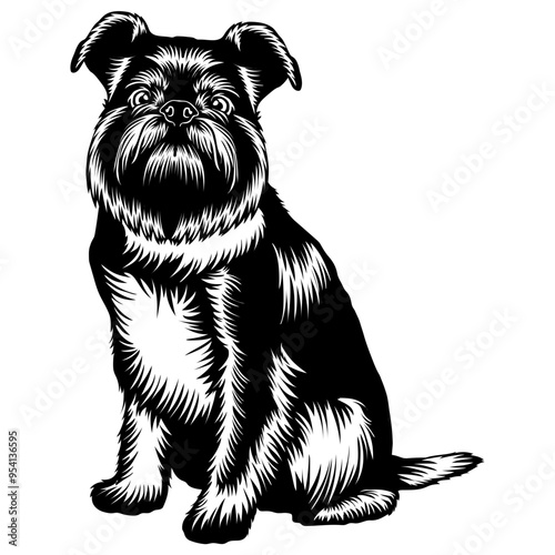 Sitting Griffon Bruxellois