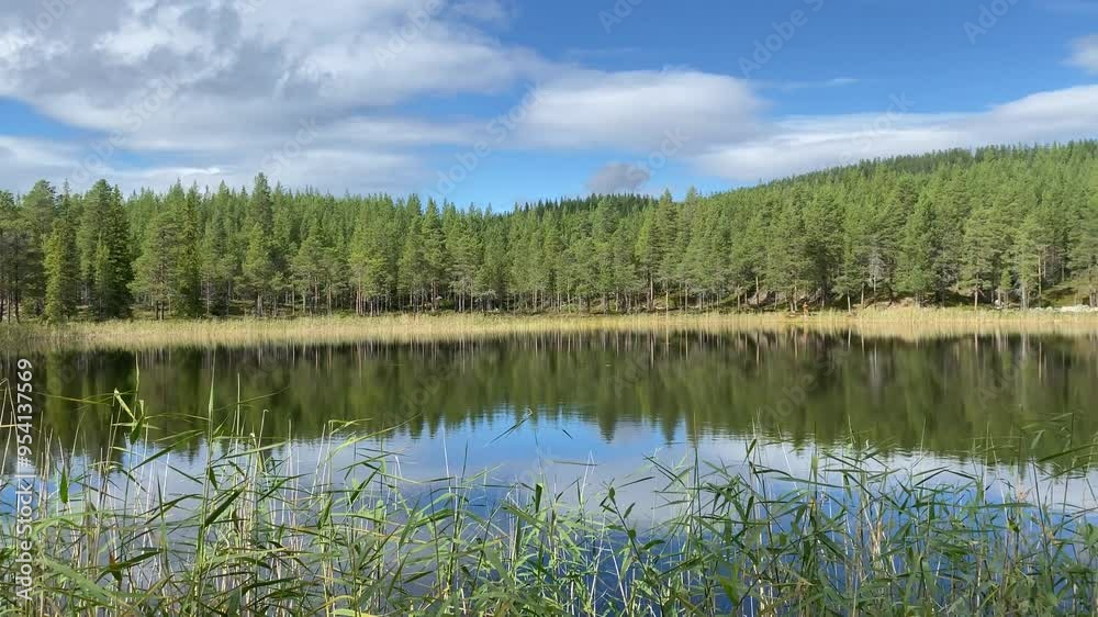 A calm lake surrounded by forest with a clear reflection of the sky and clouds, fishing, Funasdälen, Jämtland, Sweden, Europe A calm lake surrounded by forest with a clear reflection of the sky and clouds, fishing, Funasdälen, Jämtland, Sweden, Europe