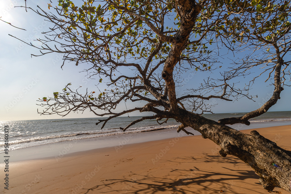 paisagem natural na cidade de Aracruz, Estado do Espírito Santo, Brasil paisagem natural na cidade de Aracruz, Estado do Espírito Santo, Brasil