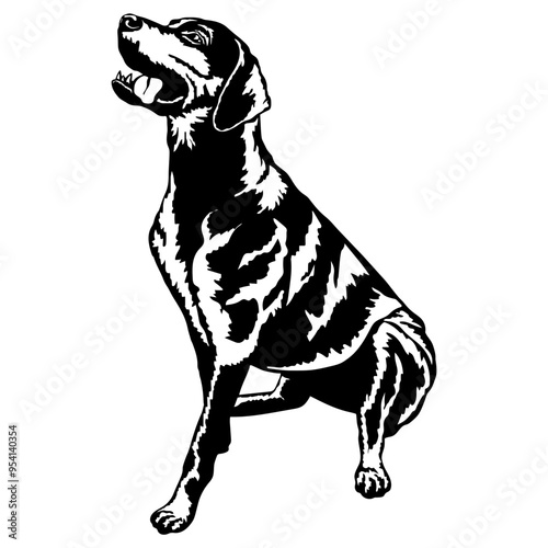 Sitting Redbone Coonhound