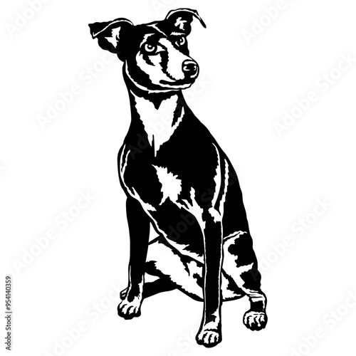 Sitting Red German Pinscher