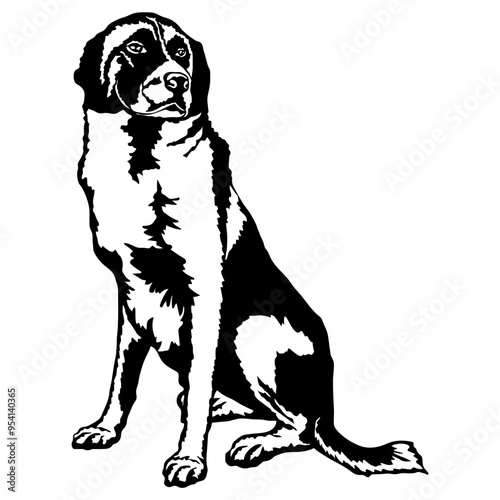 Sitting Rafeiro do Alentejo