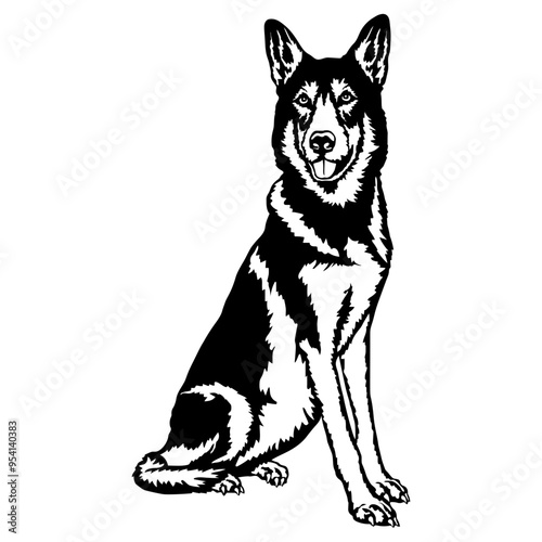 Sitting Saarloos Wolfdog