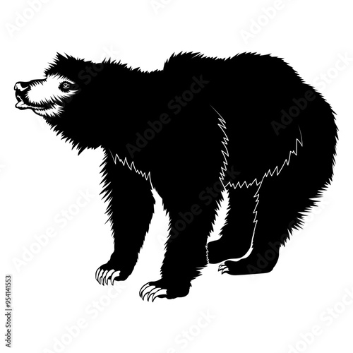 Sloth Bear