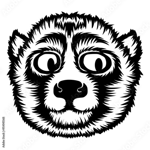 Slow Loris Face