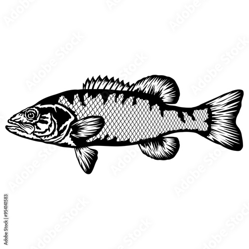 Smallmouth Bass  Fish