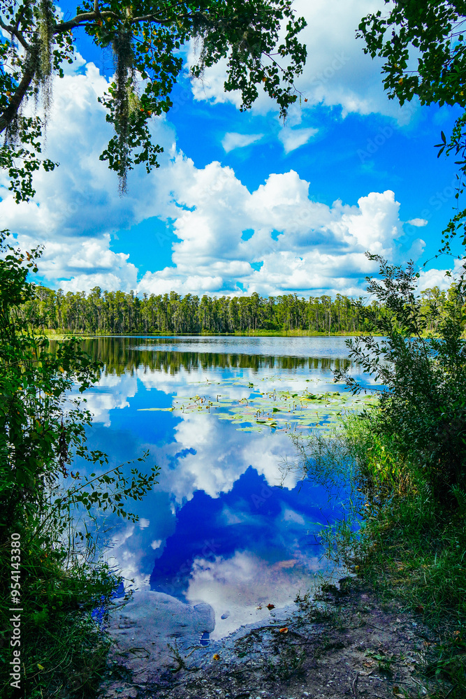 Obraz premium Tampa, FL, USA: 09 01 2024: The landscape of lake park in Tampa, Florida