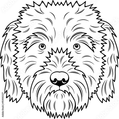 Soft Coated Wheaten Terrier