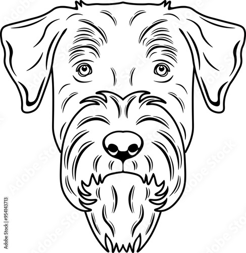 Standard Schnauzer