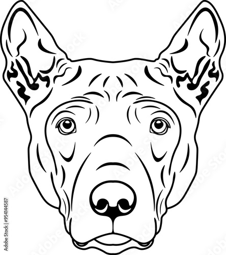 Thai Ridgeback