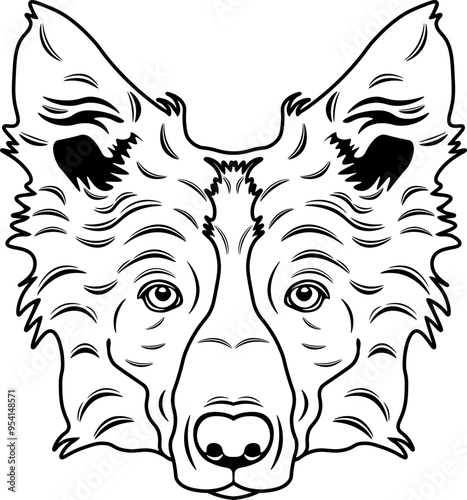 Welsh Collie Welsh Sheepdog