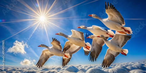 Majestic flock of geese in V-formation soar overhead, soft sunlight casting a warm glow on their snow-white feathers, photo