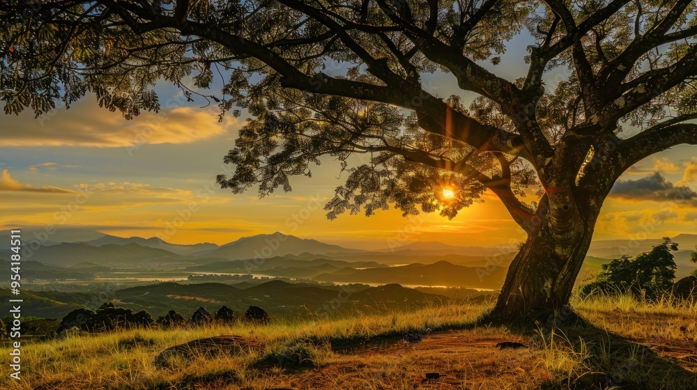 Silhouetted Tree at Sunset Over a Mountain Range Silhouetted Tree at Sunset Over a Mountain Range