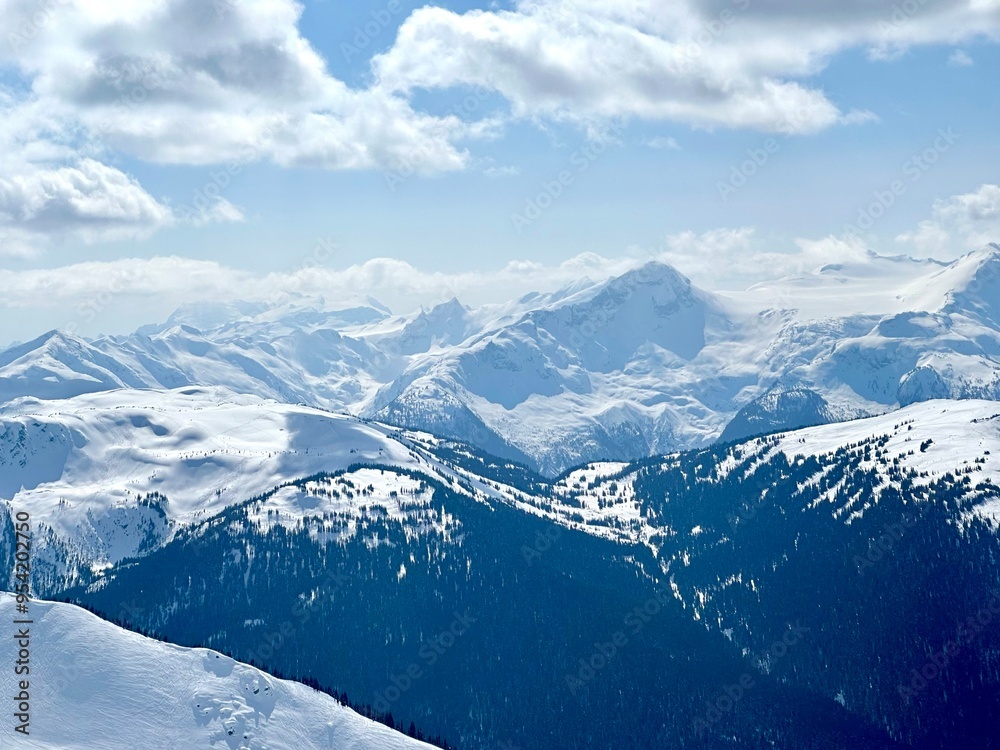 Fototapeta premium snow covered mountains