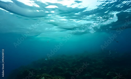 Underwater view of a coral reef with sunlight streaming through the surface.