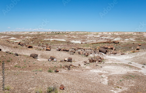 Petrified Forest National Park, Arizona-USA photo