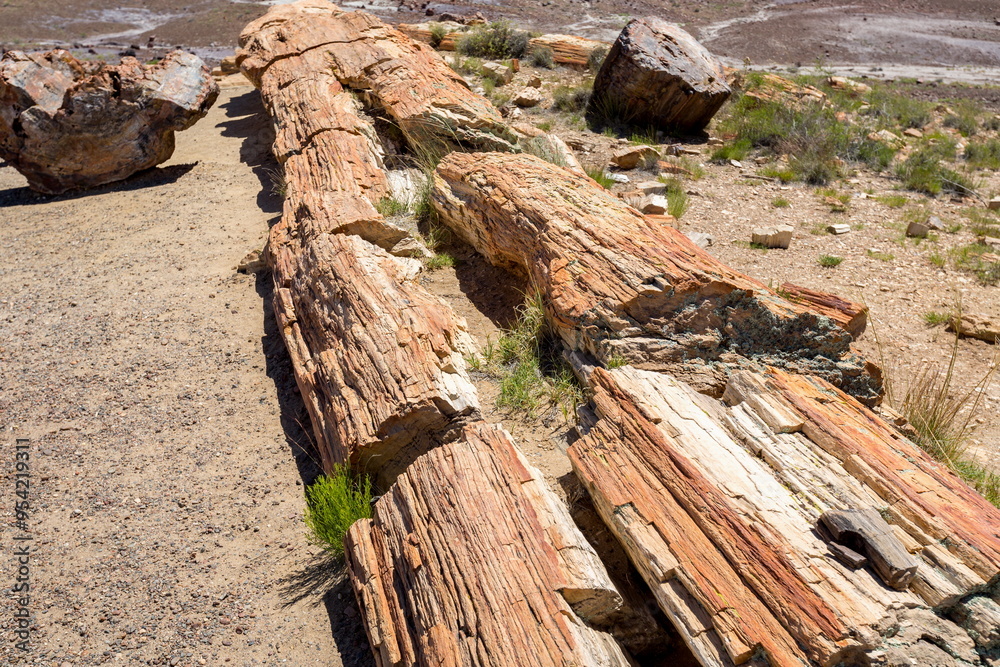 Petrified Forest National Park, Arizona-USA Petrified Forest National Park, Arizona-USA