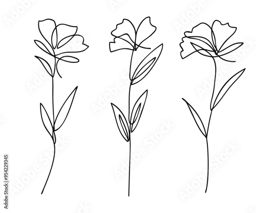 Single line art vector flower illustration collection.