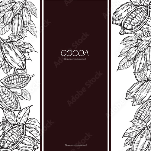 Template design cocoa chocolate vector. Package design chocolate vector. Line art cocoa.