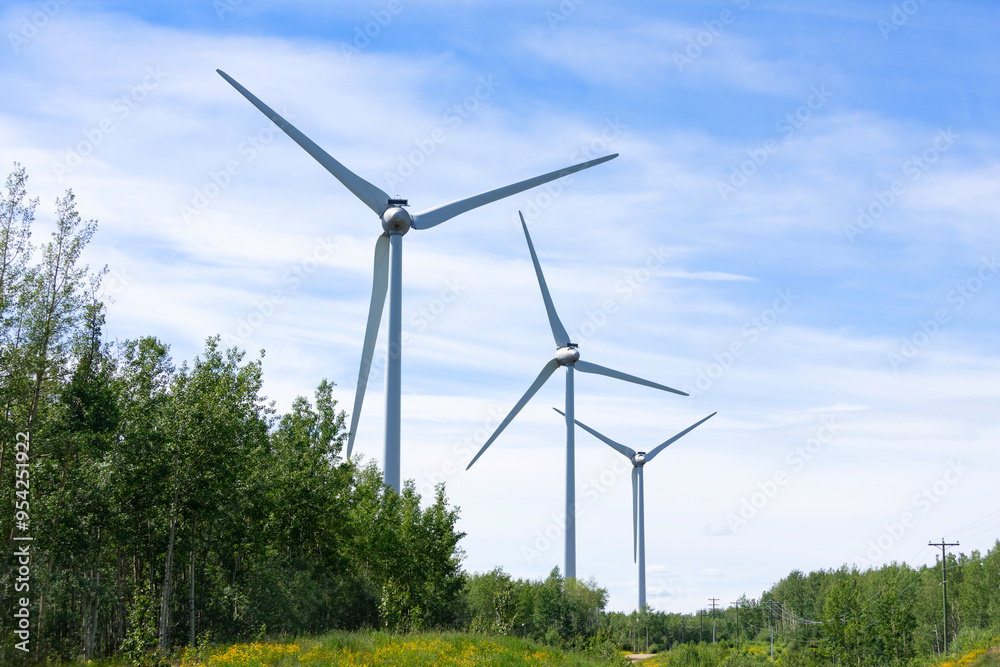 Windmills making green energy in summer in the wood among flowers. Windmills making green energy in summer in the wood among flowers.
