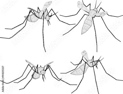 Vector sketch illustration silhouette design image of blood sucking mosquito animal with wings