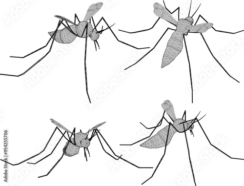 Vector sketch illustration silhouette design image of blood sucking mosquito animal with wings