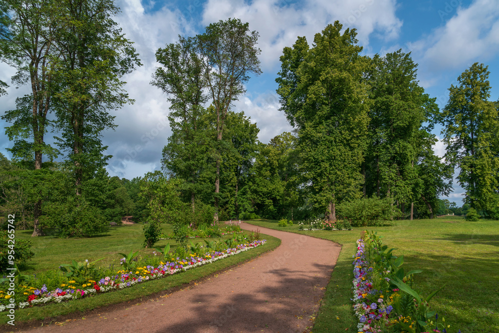 View of the alley in the Oranienbaum Palace and Park Ensemble on a sunny summer day, Lomonosov, St. Petersburg, Russia View of the alley in the Oranienbaum Palace and Park Ensemble on a sunny summer day, Lomonosov, St. Petersburg, Russia