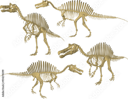 Vector sketch illustration silhouette design image of dinosaur animal skeleton toy room decoration and wardrobe shelf