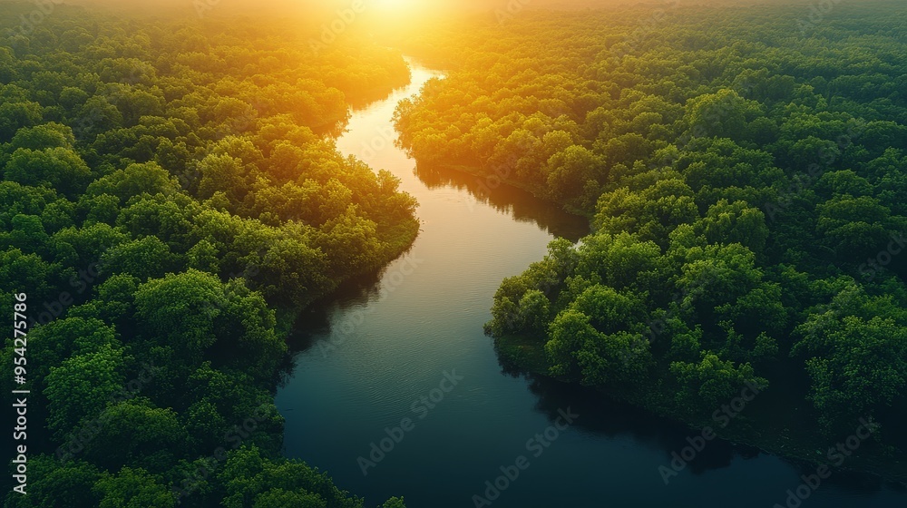 Aerial View of a River Flowing Through a Lush Green Forest at Sunset