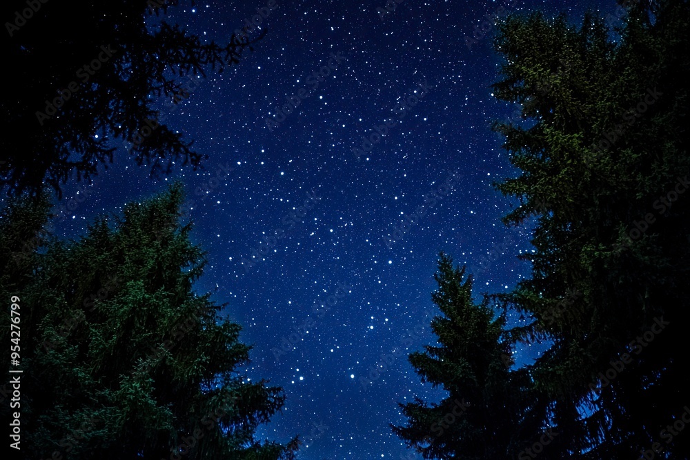 Naklejka premium Stars and night sky. Starry sky background. Looking up at the stars , ai
