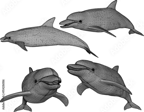 Vector sketch illustration silhouette design image of mammal animal dolphin swimming in the sea