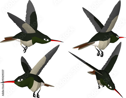 Vector sketch illustration silhouette design image of pet bird animal hummingbird sucking honey flying with wide wings