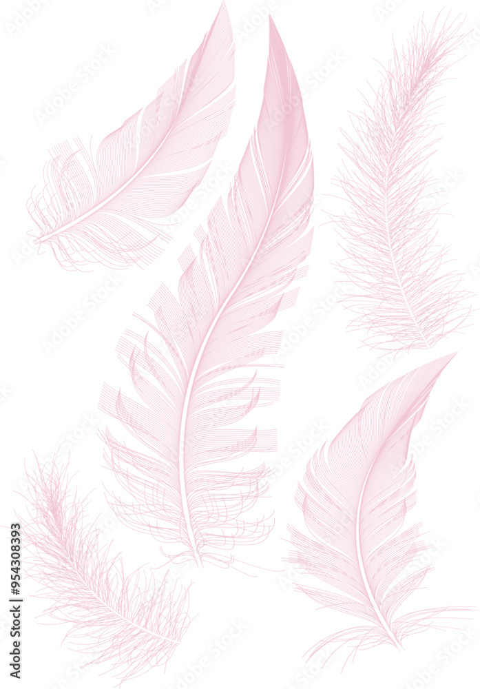 Pink Fluffy twirled feather set, isolated Goose feathers realistic style, vector	