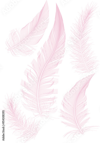 Pink Fluffy twirled feather set, isolated Goose feathers realistic style, vector	