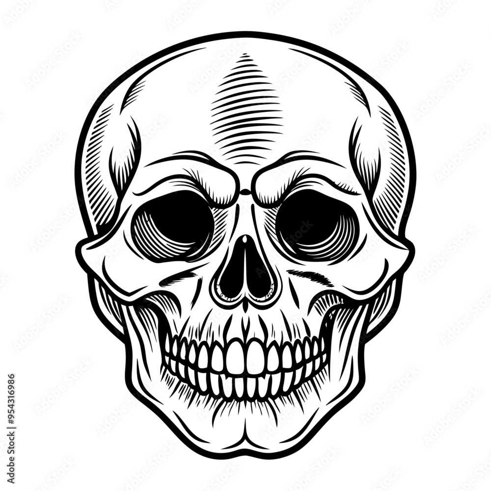 Fototapeta premium Vintage human skull concept