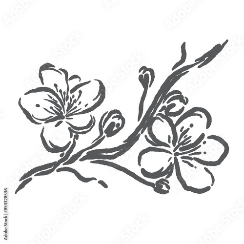 vector sketch of beautiful cherry blossoms