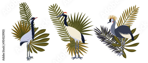 vector drawing crane birds and palm leaves, isolated nature design element, hand drawn illustration