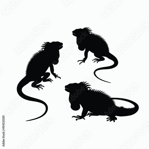 Iguana Silhouette Vector Set Animals Flat Illustration Template
