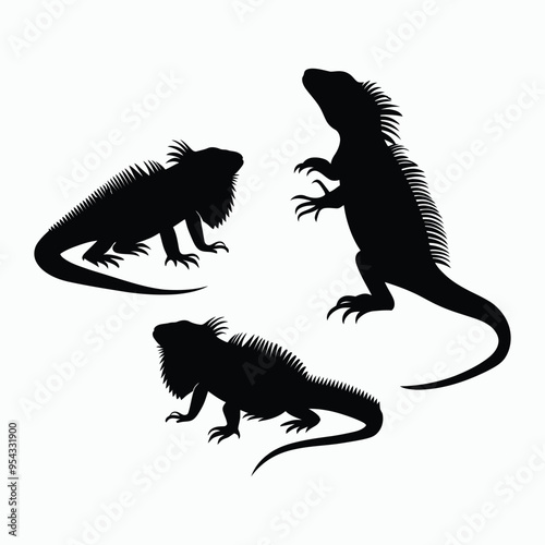 Iguana Silhouette Vector Set Animals Flat Illustration Template