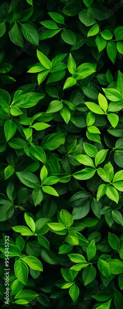 Vertical image of lush green leaves forming a dense, vibrant foliage background, perfect for nature and garden themes. Vertical image of lush green leaves forming a dense, vibrant foliage background, perfect for nature and garden themes.