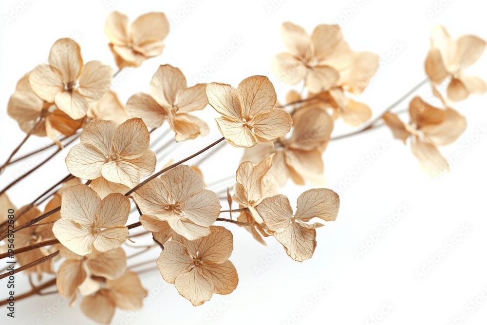 Naklejka premium Elegant dried floral background created with Generative AI