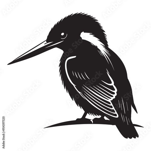 Eurasian Kingfisher silhouette - River Kingfisher  Clipart - Common Kingfisher Turning head sideways illustration in black and white
