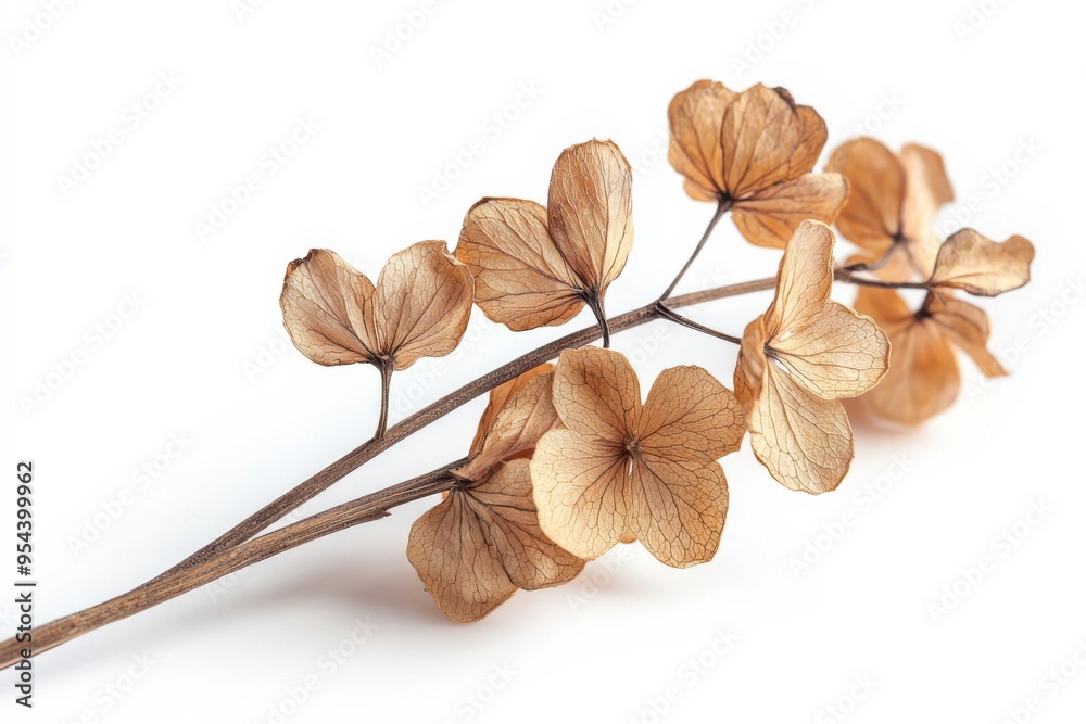 Elegant dried floral background created with Generative AI Elegant dried floral background created with Generative AI
