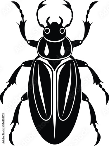 black and white beetle