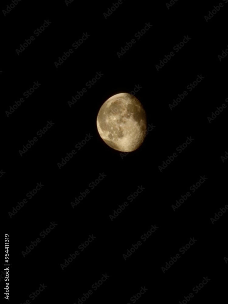 Moon Moon