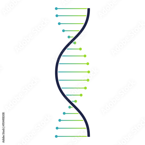 DNA icon isolated on white background