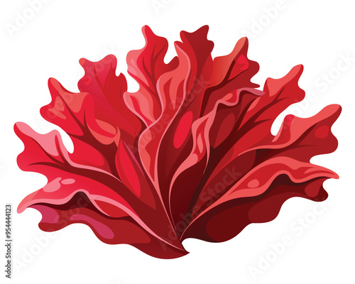 Dulse vector illustration isolated on white background