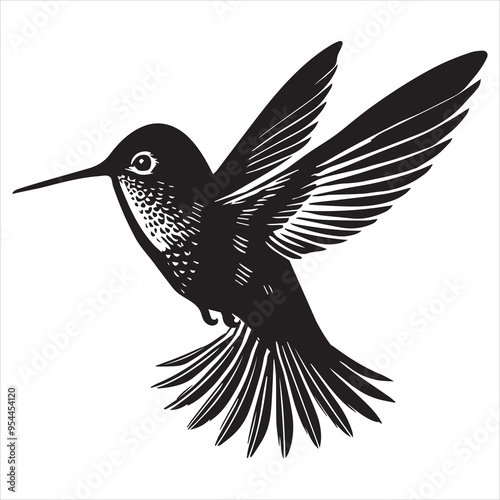 Rufous hummingbird silhouette - Hummingbird Bird Clipart - Rufous Hummingbird flying backward illustration in black and white